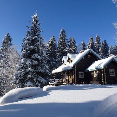 Domaine Le Bostonnais - Le Village En Bois Rond La Tuque Eksteriør billede