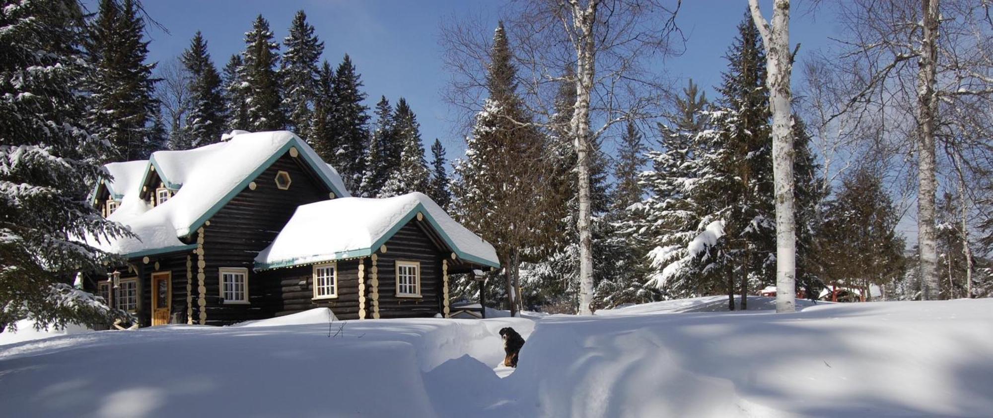 Domaine Le Bostonnais - Le Village En Bois Rond La Tuque Eksteriør billede
